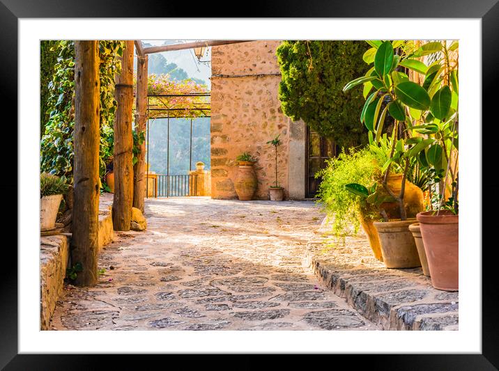 Mediterranean terrace with beautiful potted plants and idyllic sunset light Framed Mounted Print by Alex Winter