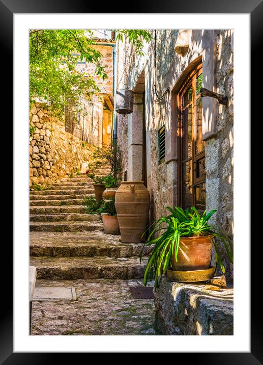 Mediterranean house with potted plant decoration Framed Mounted Print by Alex Winter