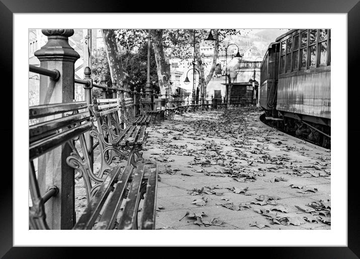 View of the old railroad station in Soller  Framed Mounted Print by Alex Winter