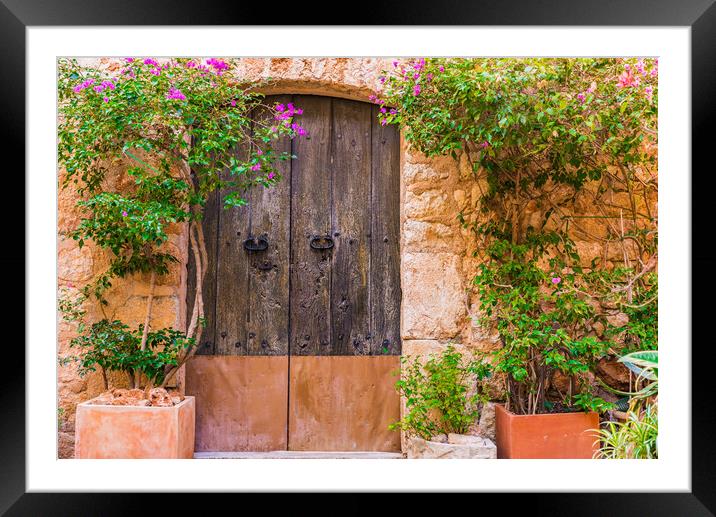 Old door with potted plants decoration Framed Mounted Print by Alex Winter