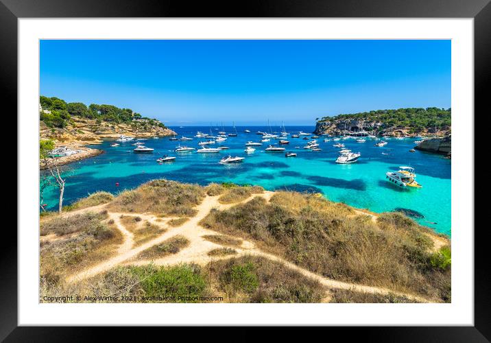 Portals Vells with many luxury yachts Framed Mounted Print by Alex Winter