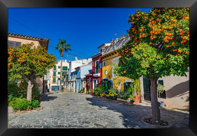 Spain Palma de Mallorca view of colorful houses Framed Print by Alex Winter