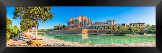 Cathedral La Seu at the city center of Palma Framed Print by Alex Winter