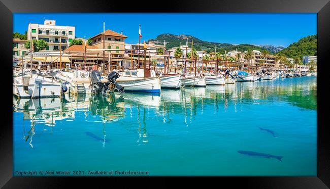 Port de Soller with fishing boats Framed Print by Alex Winter