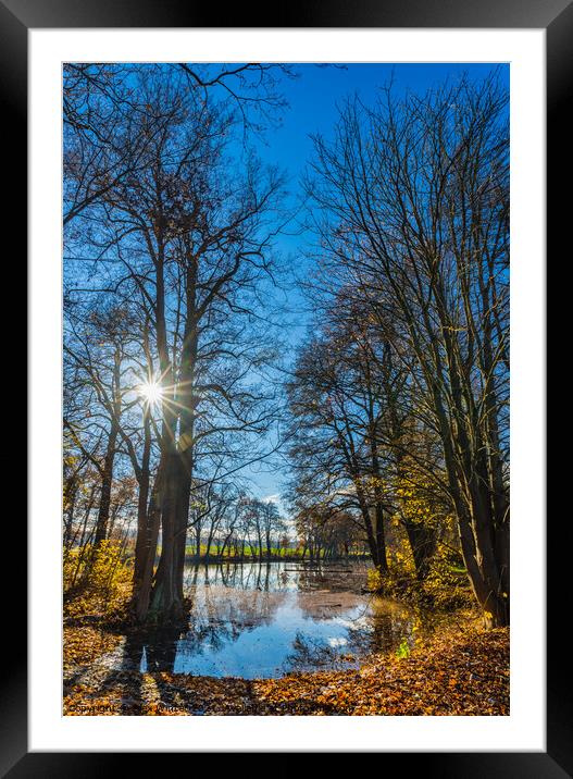 Fall season landscape lake water and autumn trees Framed Mounted Print by Alex Winter