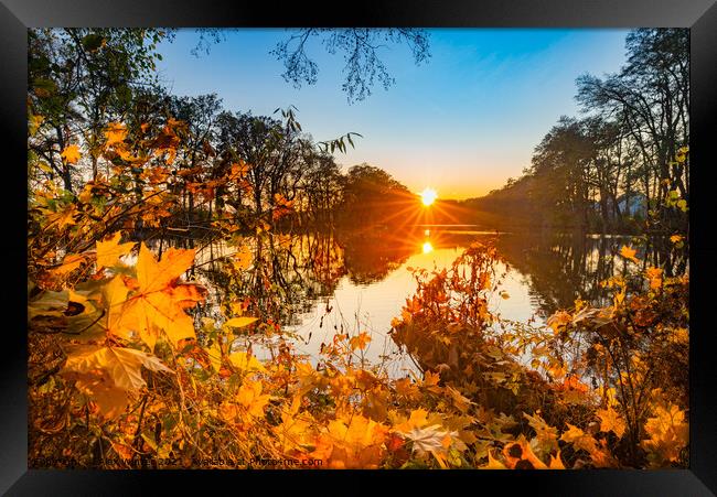 Sunset at lake water beautiful nature landscape Framed Print by Alex Winter