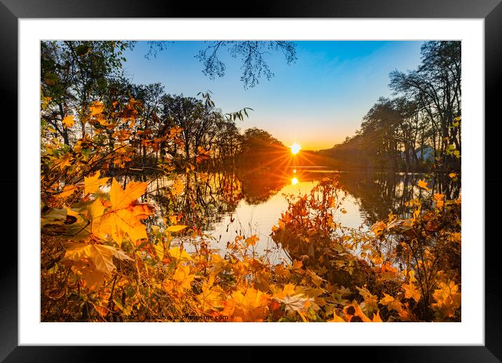 Sunset at lake water beautiful nature landscape Framed Mounted Print by Alex Winter