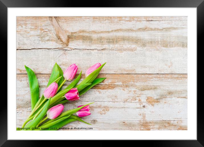 bunch of Pink tulip flowers Framed Mounted Print by Alex Winter