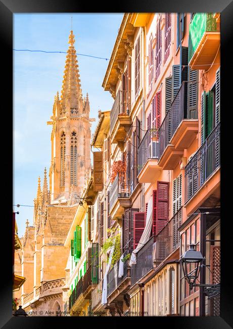 Palma de Majorca, historic city center Framed Print by Alex Winter