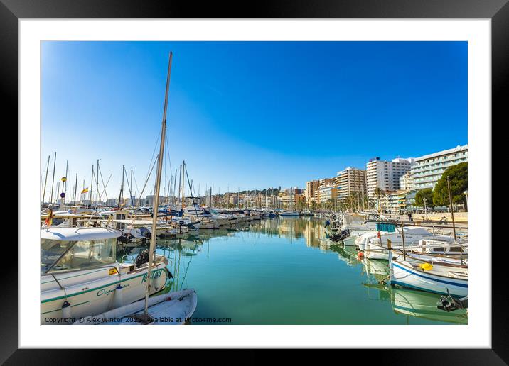 City and boats at marina port at coast of Palma de Majorca Framed Mounted Print by Alex Winter
