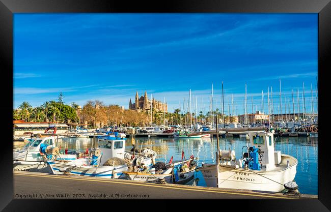 Fishing harbor port of Palma de Majorca Framed Print by Alex Winter