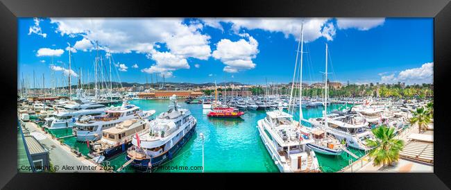 Yachts boats at marina port of Palma de Majorca Framed Print by Alex Winter