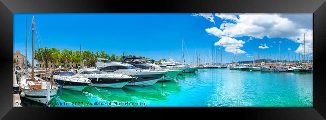 Luxury yachts at marina port of Palma de Majorca Framed Print by Alex Winter
