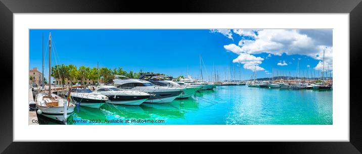 Luxury yachts at marina port of Palma de Majorca Framed Mounted Print by Alex Winter