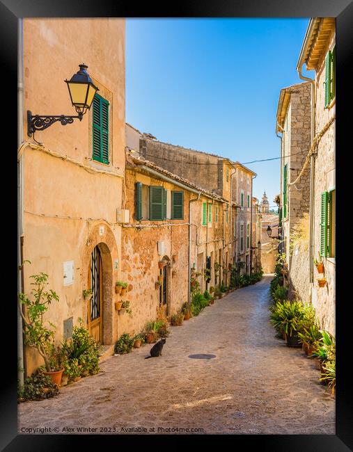 Old village Valldemossa on Mallorca  Framed Print by Alex Winter
