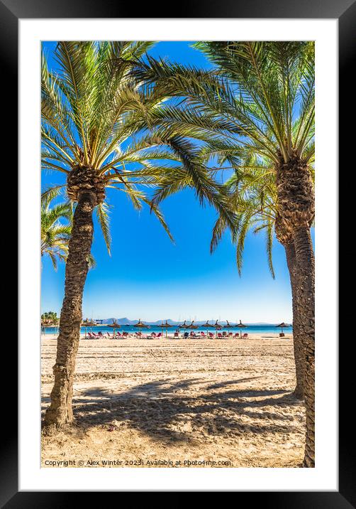 Platja de Alcudia Framed Mounted Print by Alex Winter