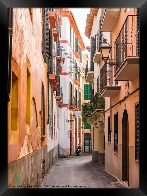 Narrow street at the old town of Palma de Majorca Framed Print by Alex Winter