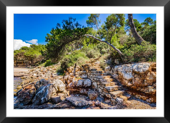 Rustic stone staircase Framed Mounted Print by Alex Winter