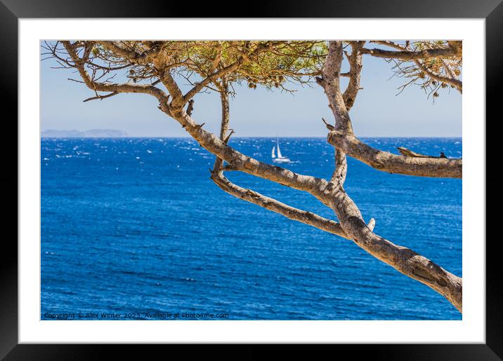 Idyllic sea view at the coast on Majorca Framed Mounted Print by Alex Winter