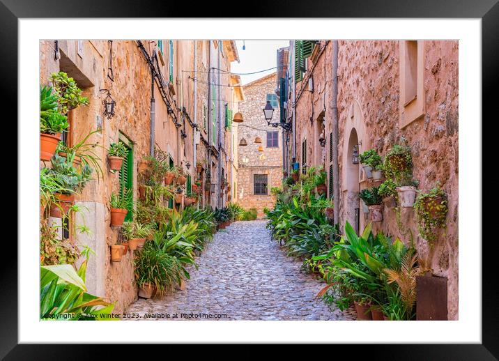 Spain plant street Framed Mounted Print by Alex Winter