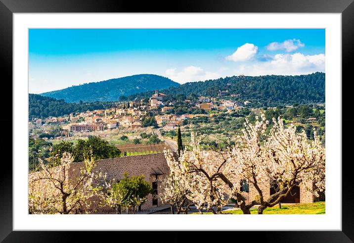 Selva in beautiful spring landscape on Mallorca Framed Mounted Print by Alex Winter