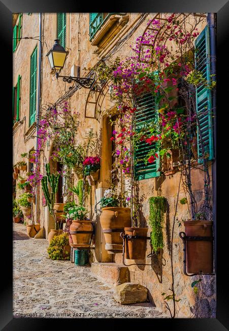 mediterranean house with flowers and plants  Framed Print by Alex Winter