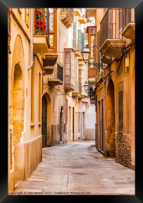 Street in the old town of Palma de Mallorca Framed Print by Alex Winter