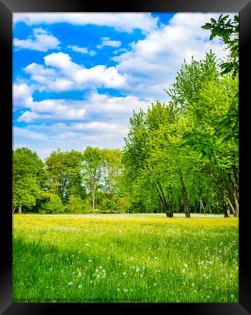 Beautiful nature scenery Framed Print by Alex Winter