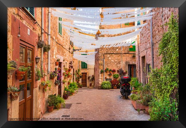 Street with beautiful flowers in Valldemossa Framed Print by Alex Winter