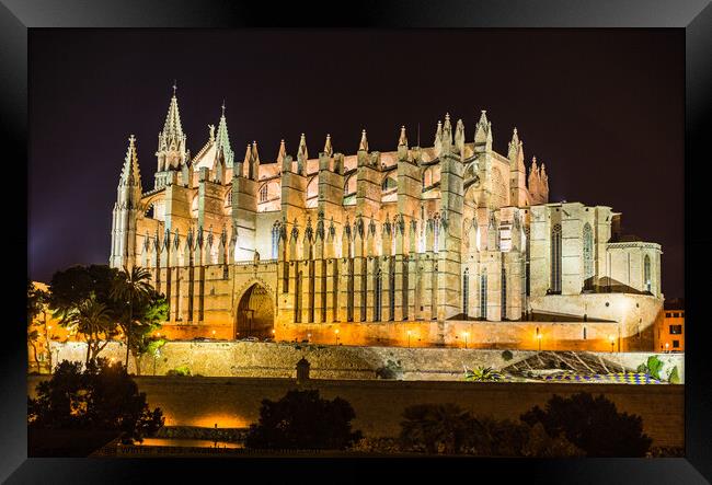 Palma Cathedral Framed Print by Alex Winter