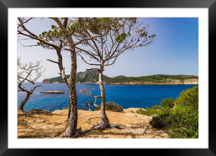 Spain Majorca, beautiful scenery in Sant Elm Framed Mounted Print by Alex Winter