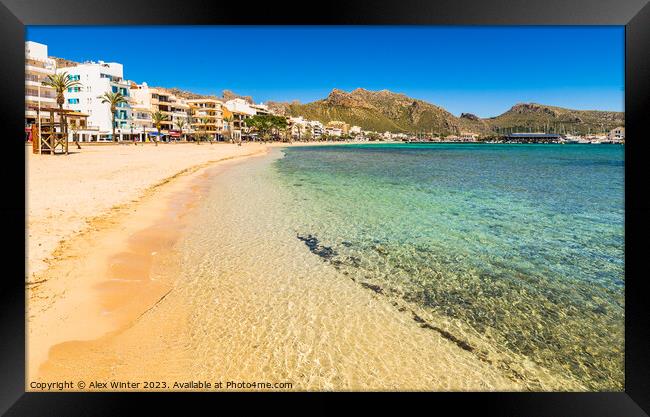 Beautiful sand beach at bay of Pollenca pollensa Framed Print by Alex Winter