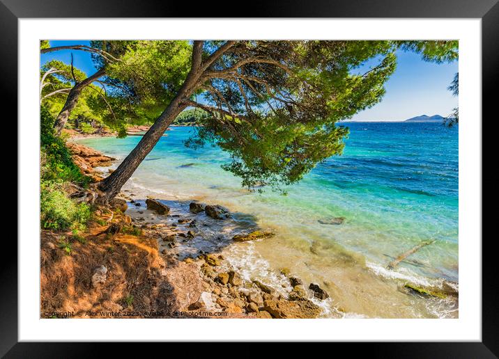 Platja de Formentor, idyllic seaside on Mallorca Framed Mounted Print by Alex Winter