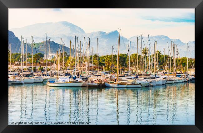 View at the marina of Port de Pollensa on Mallorca Framed Print by Alex Winter