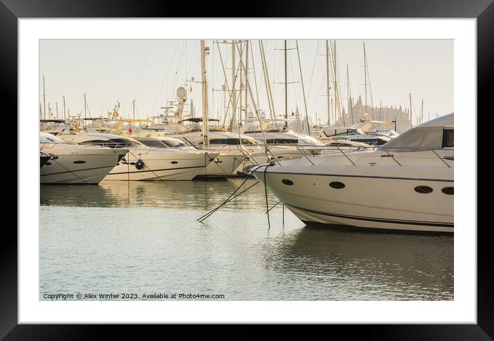 Luxury yachts at marina in Palma de Majorca Framed Mounted Print by Alex Winter