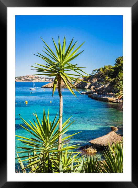 A Turquoise Paradise in Cala Fornells Framed Mounted Print by Alex Winter
