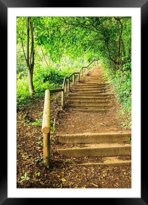 Green forest staircase steps Framed Mounted Print by Alex Winter