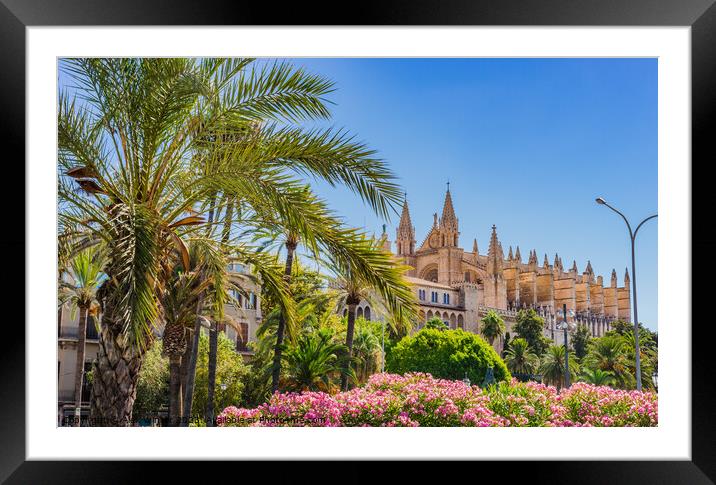 Cathedral La Seu Framed Mounted Print by Alex Winter