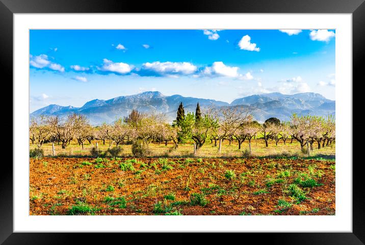 Idyllic view of nature scenery on Mallorca Framed Mounted Print by Alex Winter