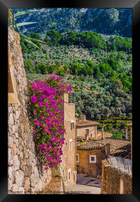 Beautiful view mountain village of Fornalutx  Framed Print by Alex Winter