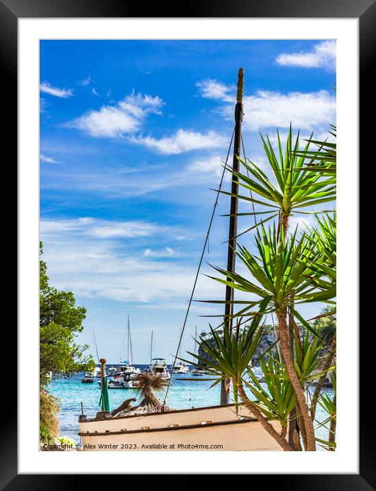 Luxury yachts boats in beautiful bay Framed Mounted Print by Alex Winter