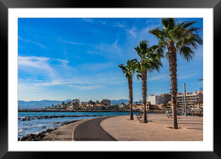 Portixol, Palma de Majorca Framed Mounted Print by Alex Winter