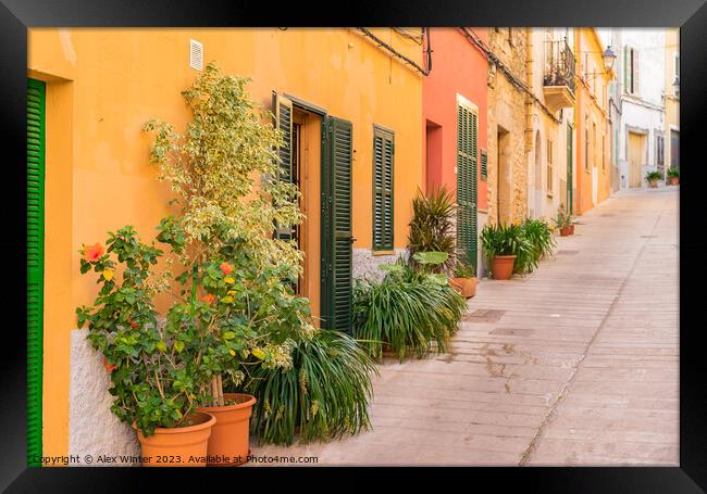 Idyllic street in the old town of Alcudia  Framed Print by Alex Winter