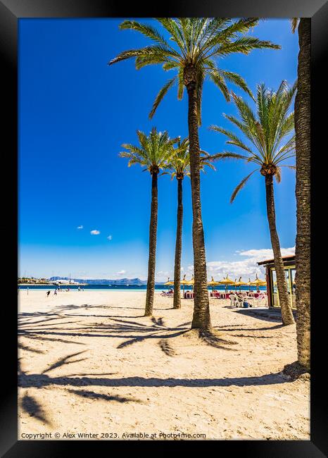 Majorca, Platja de Alcudia Framed Print by Alex Winter