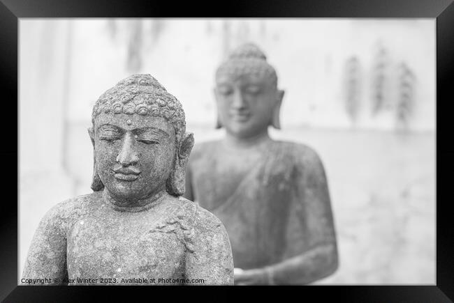 Serene Two Buddha statues Framed Print by Alex Winter