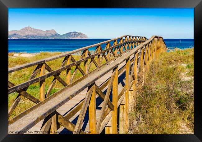 Wooden footbridge over sand dunes Framed Print by Alex Winter