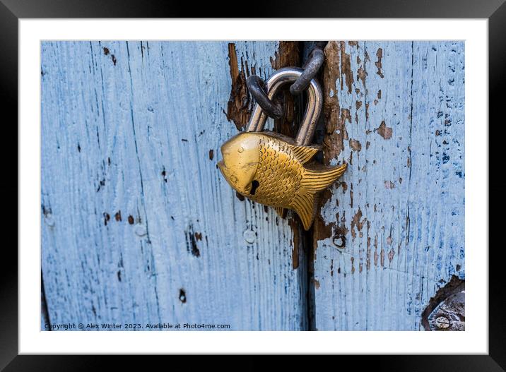 Close-up of closed padlock in fish design Framed Mounted Print by Alex Winter