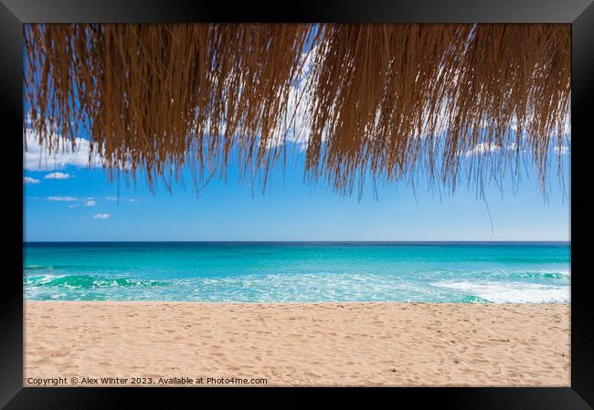 Beautiful sand beach sun, blue sky and straw umbre Framed Print by Alex Winter