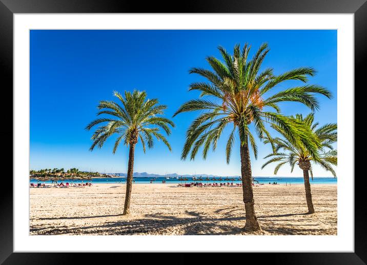 Bay of Alcudia on Mallorca  Framed Mounted Print by Alex Winter