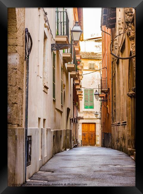 Historic Palma de Mallorca, Spain Framed Print by Alex Winter